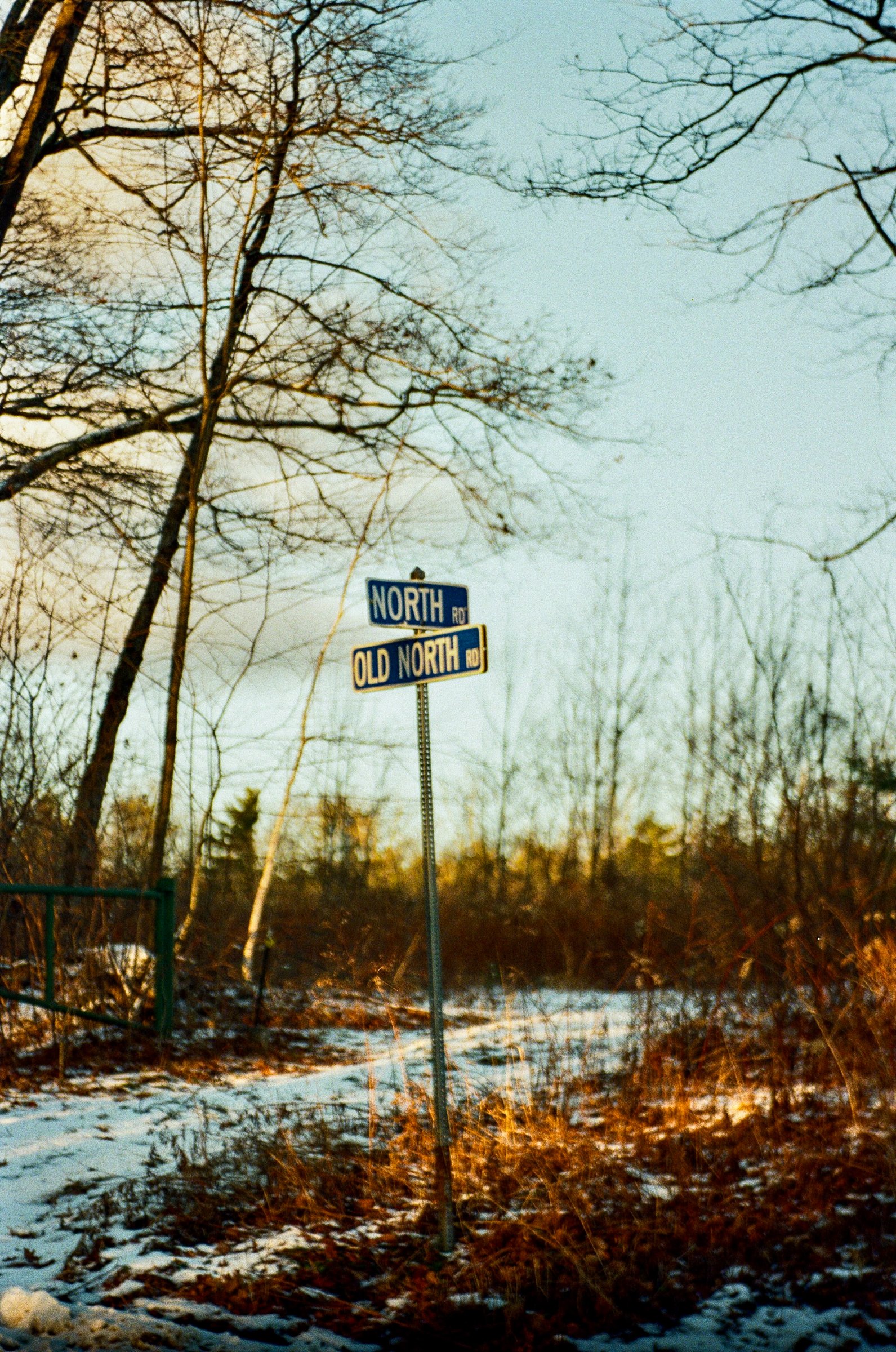 Old North